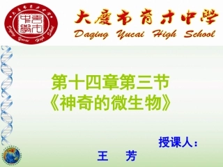 神奇的微生物1