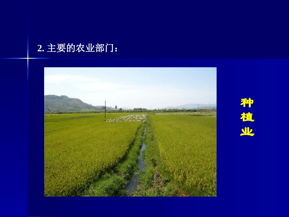 第四章第二节-农业PPT_第3页