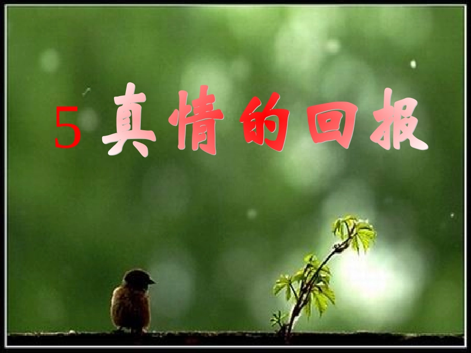 真情的回报 (2)_第1页