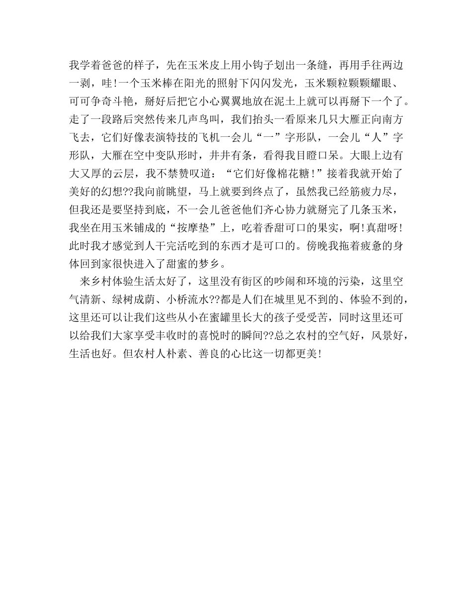 掰玉米作文300字 _第3页