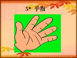 5手指ppt课件2