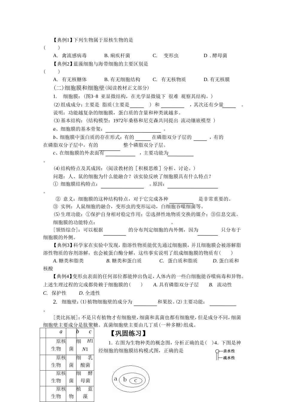 《细胞膜和细胞壁》导学案3_第2页