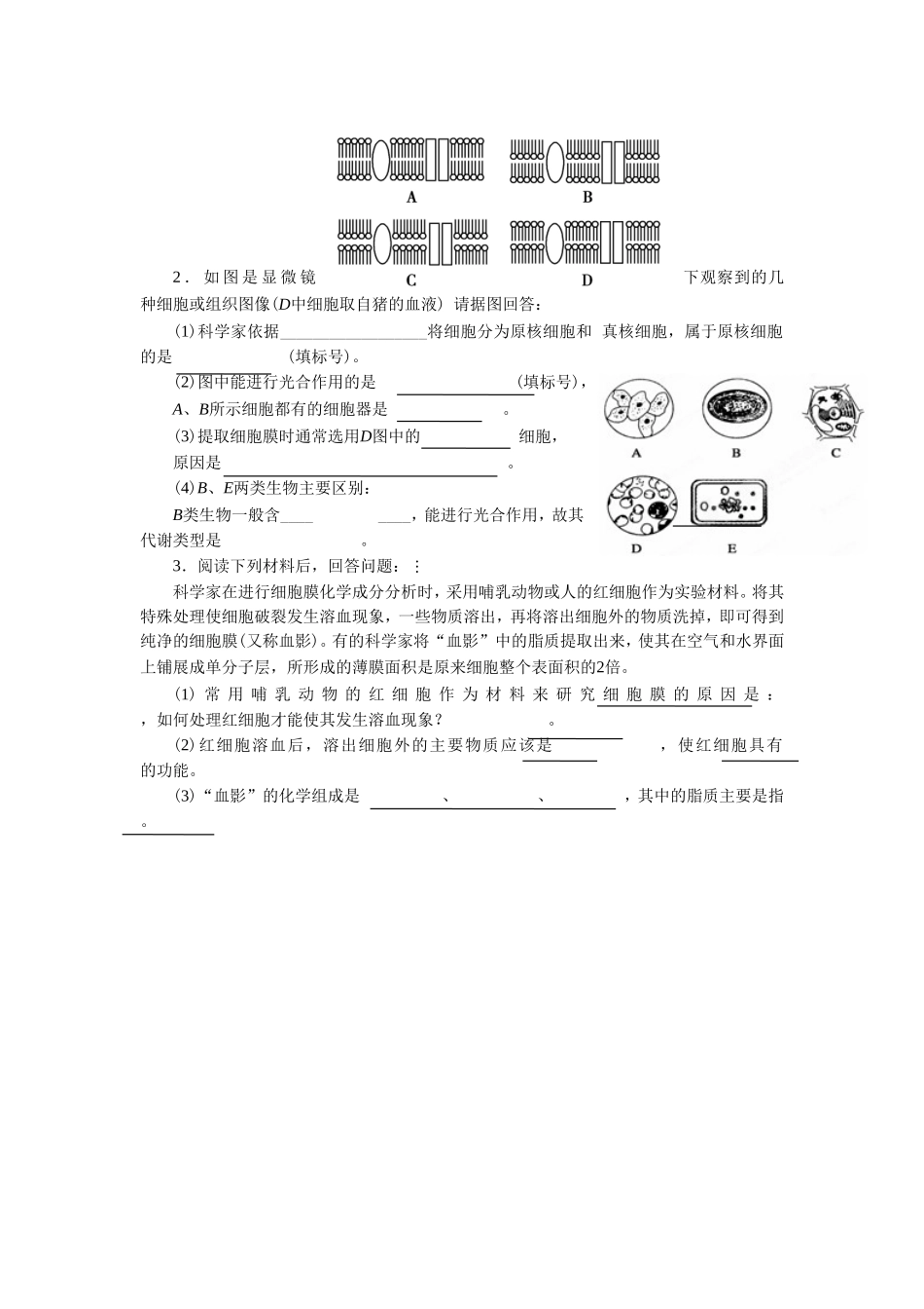 《细胞膜和细胞壁》导学案3_第3页