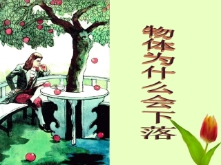 浙江省绍兴县杨汛桥镇中学七年级科学-2.5《物体为什么会下落》课件