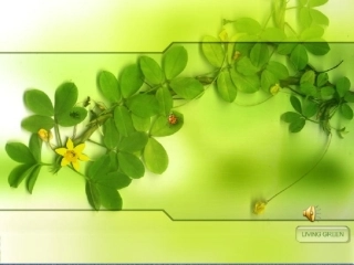 《以虫治虫》正式课件1
