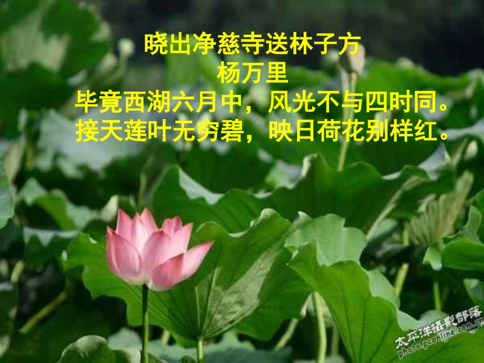 湖心亭看雪课件_第3页