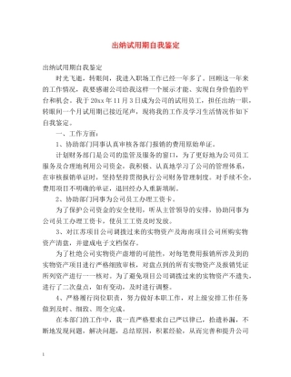 出纳试用期自我鉴定2 