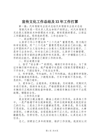 宣传文化工作总结及XX年工作打算 