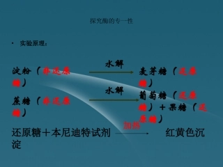 浙江省温州市中2012-2013学年高二生物《酶(第二课时)》课件-浙科版必修1