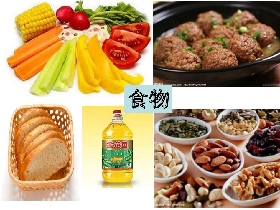 6.3保护生物的多样性_第2页