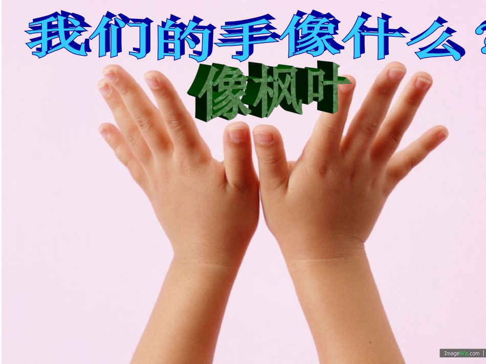 王润玲我们的手(课件)_第2页