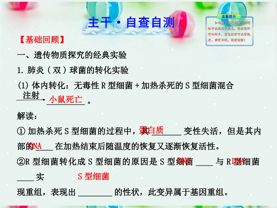 江苏省2013年高考生物-热点预测-4.1遗传的物质基础精品课件_第2页