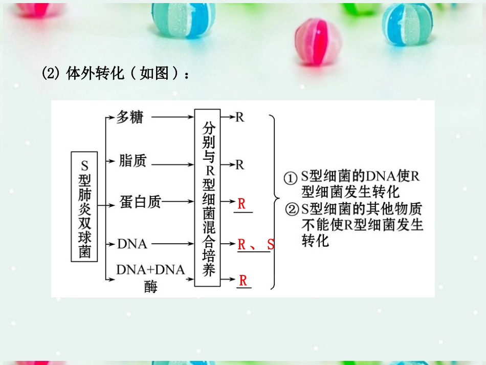 江苏省2013年高考生物-热点预测-4.1遗传的物质基础精品课件_第3页