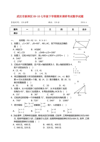 武汉市新洲区2009-2010七年级数学下学期期末调研考试试题人教版