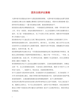团员自我评议集锦 