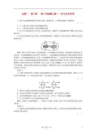 2012届高三生物一轮复习-5.4-能量之源——光与光合作用章节检测试题-新人教版必修1