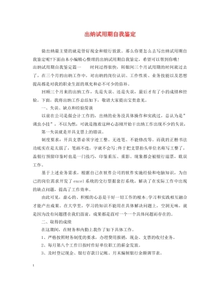 出纳试用期自我鉴定 