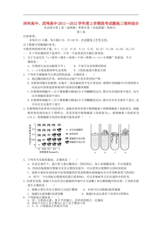 广西武鸣高中、浔州高中2012届高三理综上学期期中联考考试【会员独享】