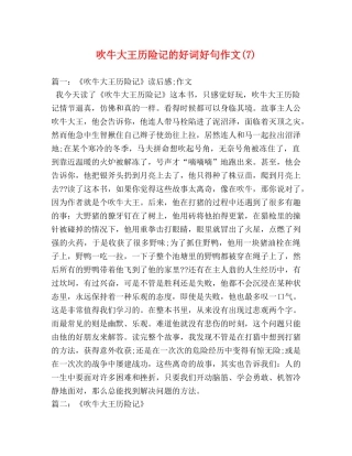 吹牛大王历险记的好词好句作文(7) 