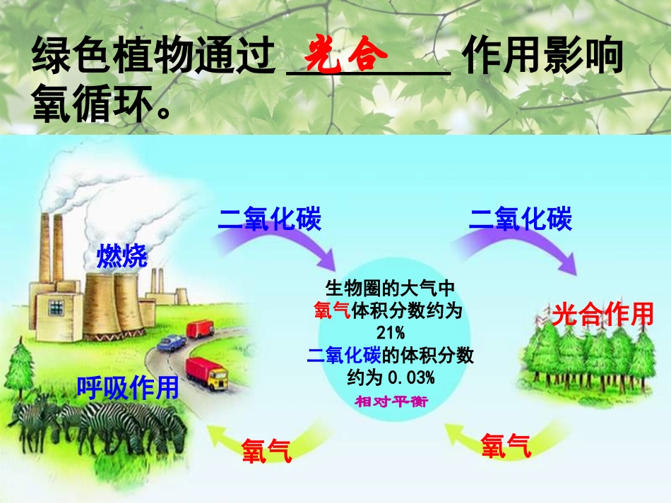 八年级生物上册-第七章《绿了植物在生物圈中的作用》课件-冀教版_第3页