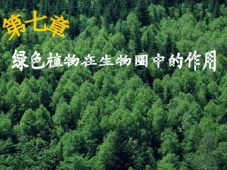 八年级生物上册-第七章《绿了植物在生物圈中的作用》课件-冀教版
