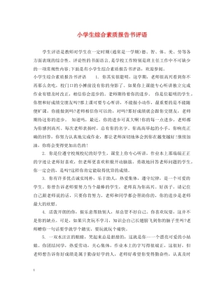 小学生综合素质报告书评语 