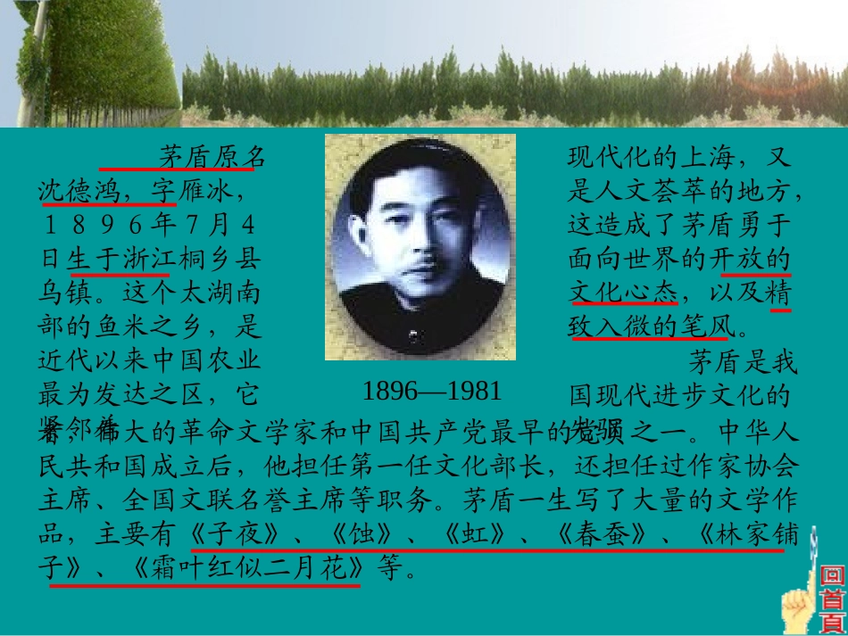 九年级语文上册-第一单元第1课《白杨礼赞》课件-语文版_第2页