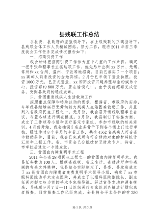 县残联工作总结 