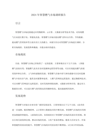 2024年智慧燃气市场调研报告