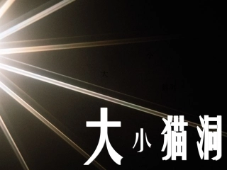 九年级语文上册-第三单元第11课《大小猫洞》课件-语文版