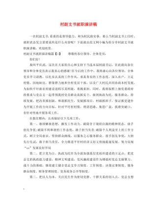 村副支书就职演讲稿 
