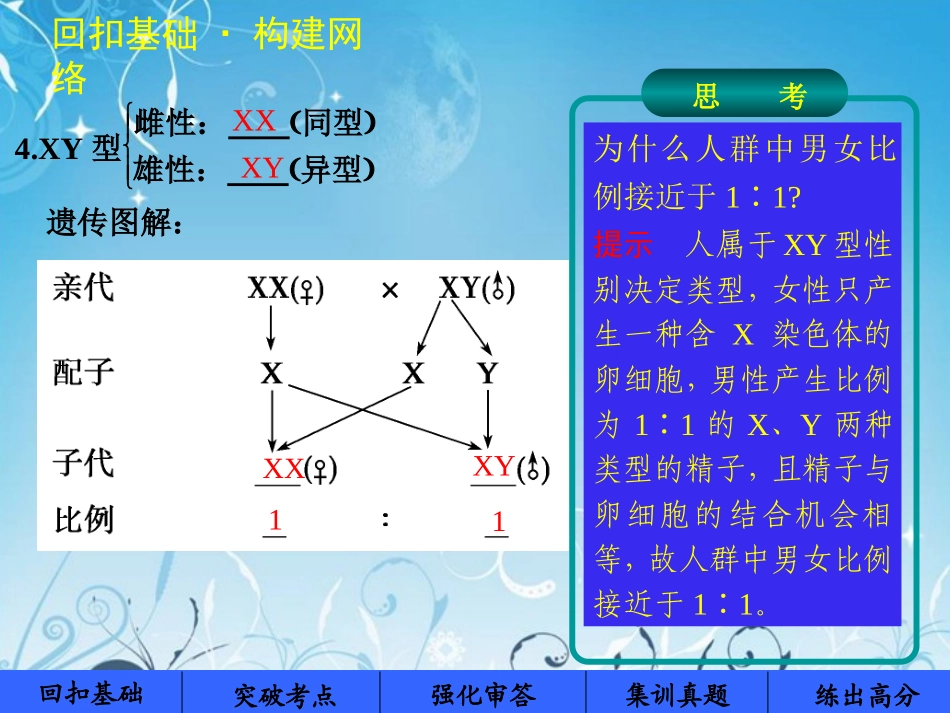 【步步高】2014届高考生物大一轮复习-第15讲性别决定和伴性遗传课件-苏教版_第3页