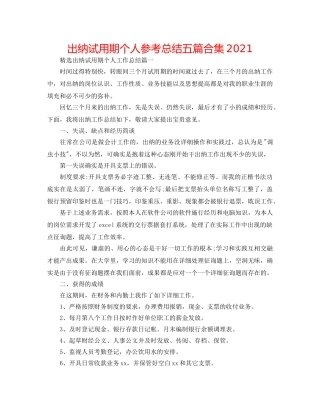 出纳试用期个人参考总结五篇合集2024 
