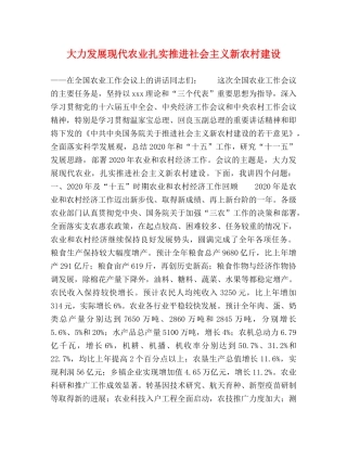 大力发展现代农业扎实推进社会主义新农村建设 