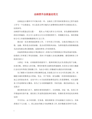 出纳晋升自我鉴定范文 