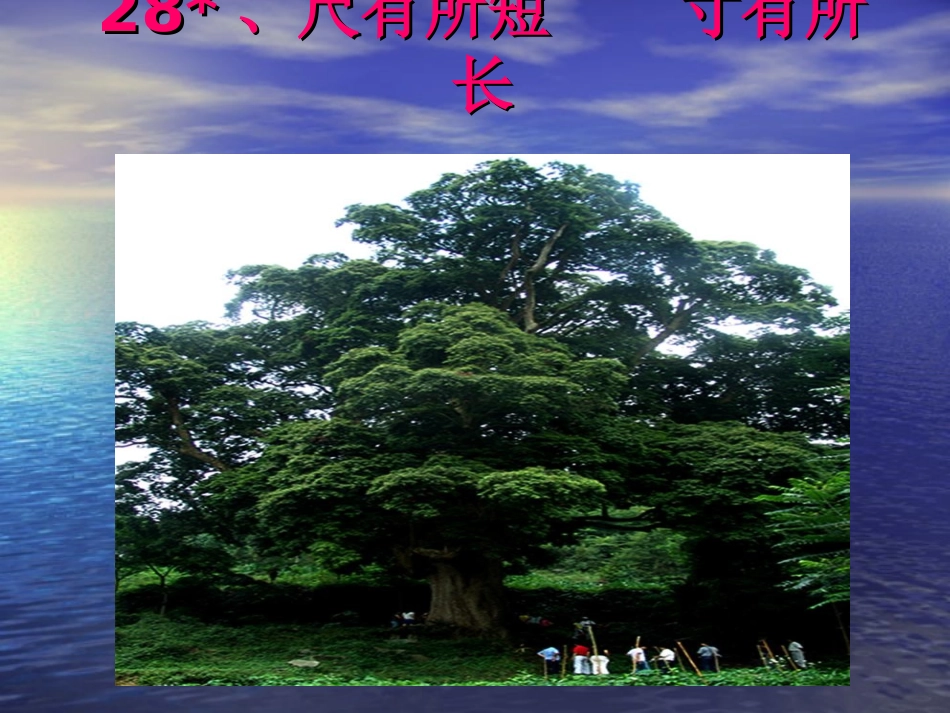 28《尺有所短-寸有所长》PPT课件_第1页