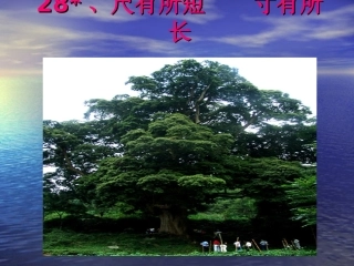 28《尺有所短-寸有所长》PPT课件