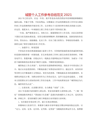 城管个人工作参考总结范文2024 