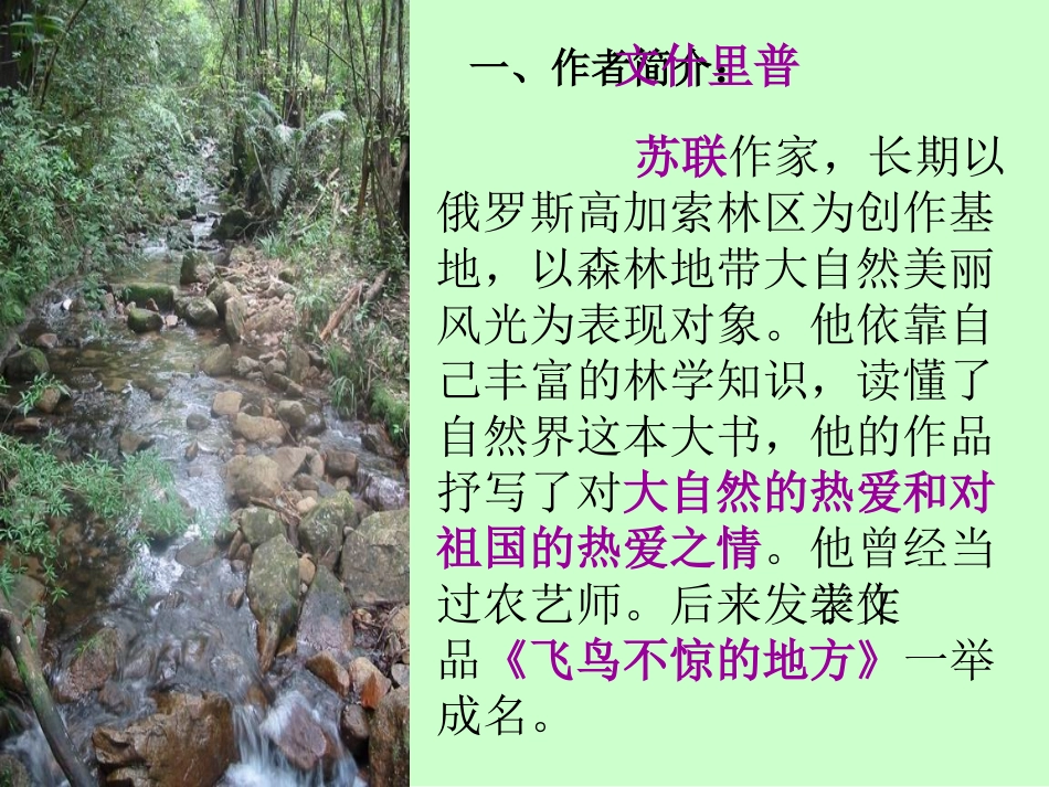 林中小溪123_第3页