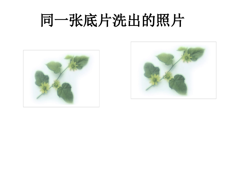 12.1--全等三角形_第1页
