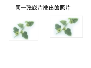 12.1--全等三角形