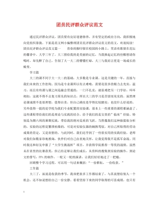 团员民评群众评议范文 