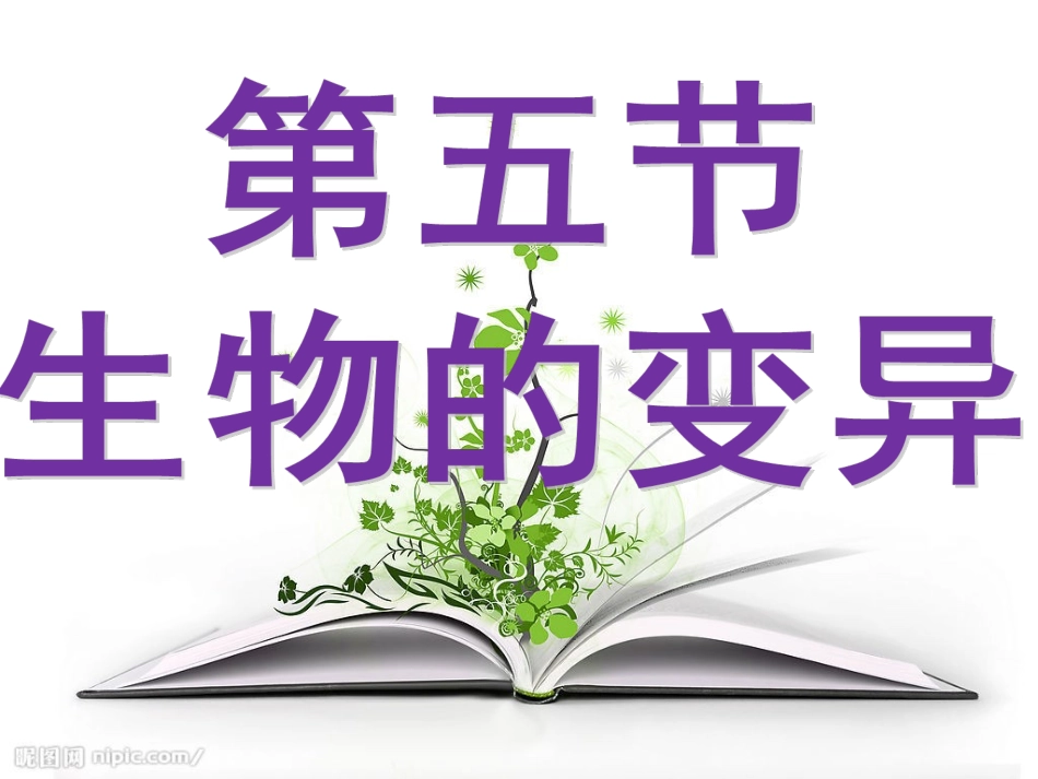 7.2.5生物的变异_第1页