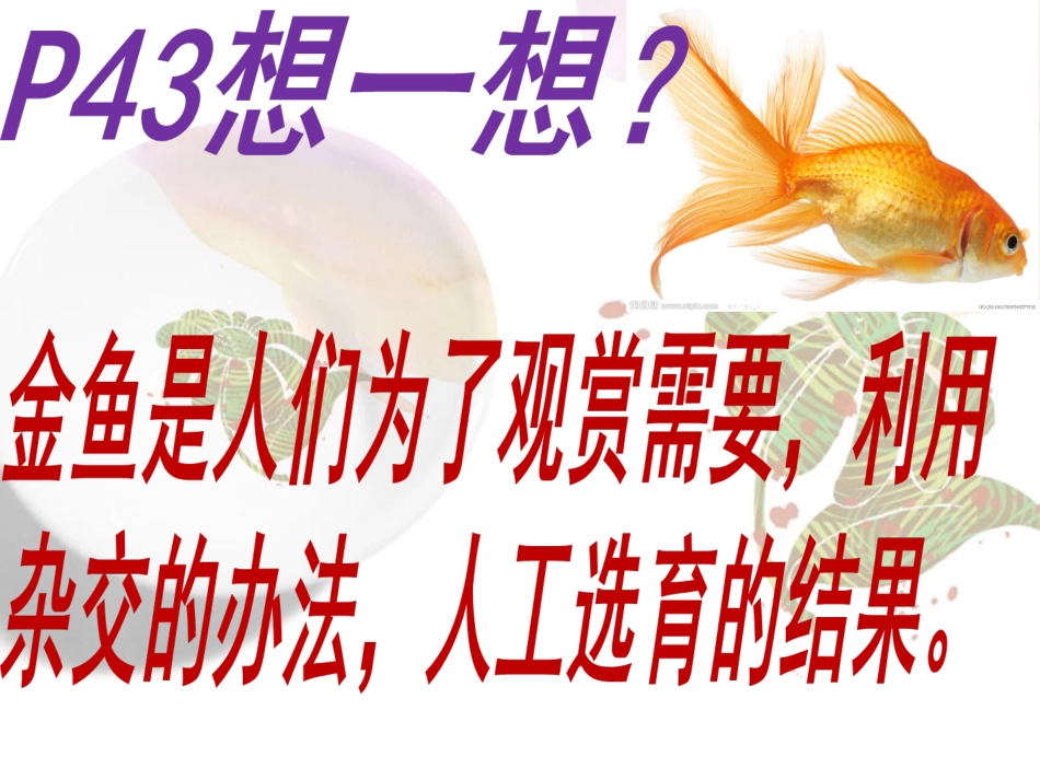 7.2.5生物的变异_第2页