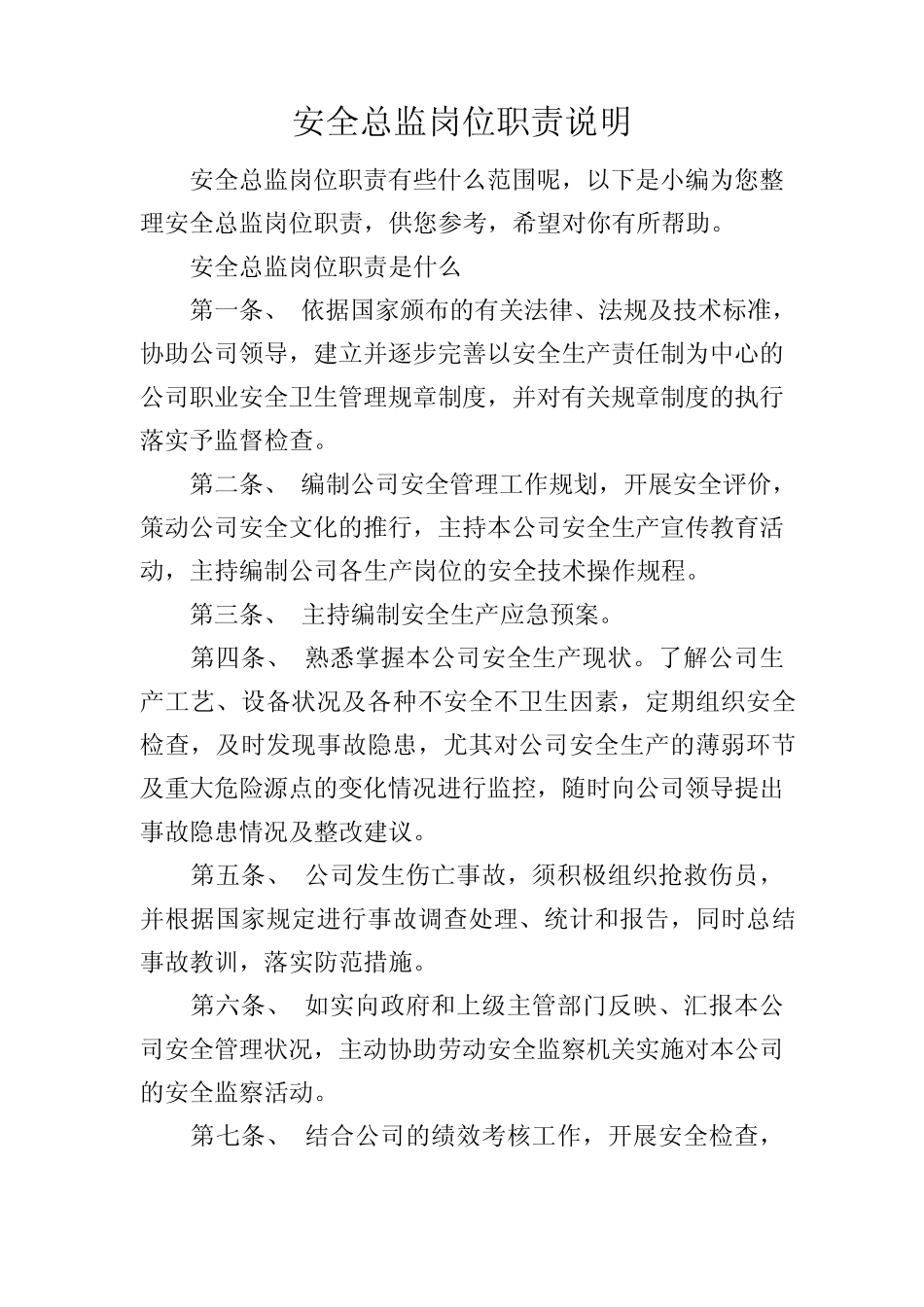 安全总监岗位职责说明 _第1页