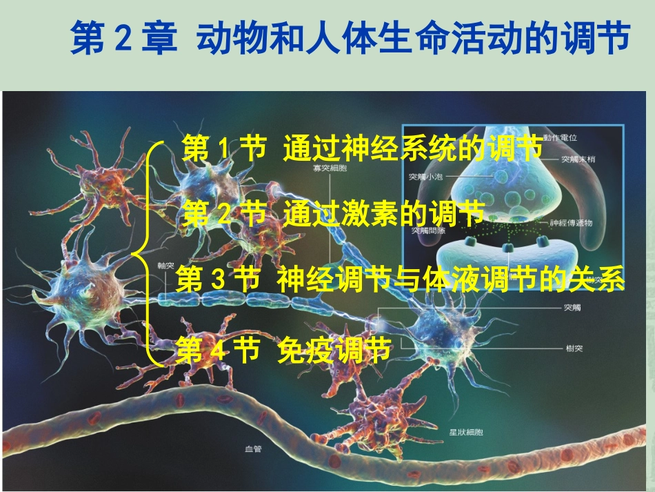 2.1《通过神经系统的调节》-史仲晟_第1页