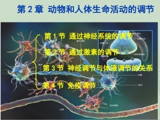 2.1《通过神经系统的调节》-史仲晟