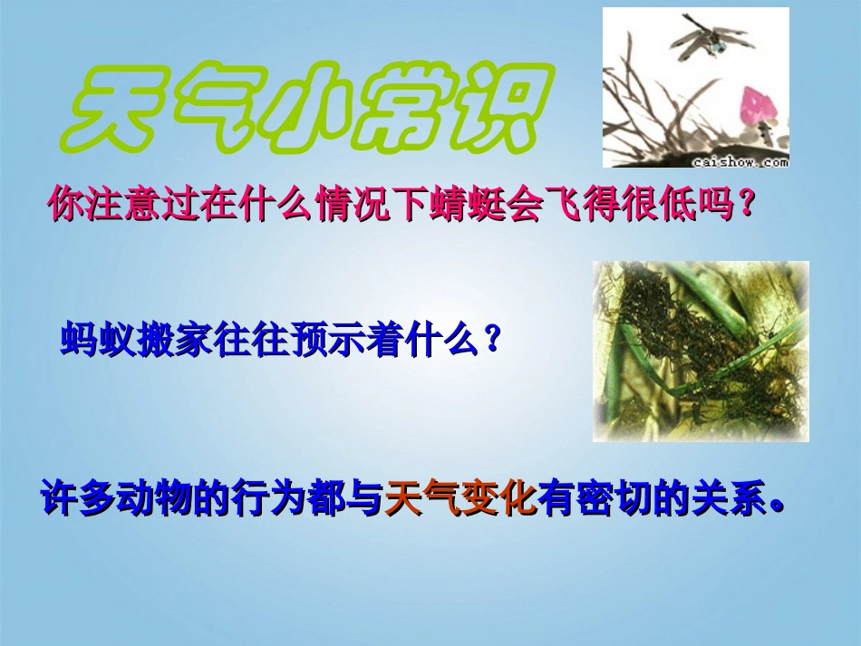 浙江省台州温岭市松门镇育英中学八年级科学上册-2.2-天气和气温(1)课件-浙教版_第2页