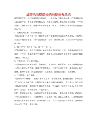 城管执法局局长的自我参考总结 