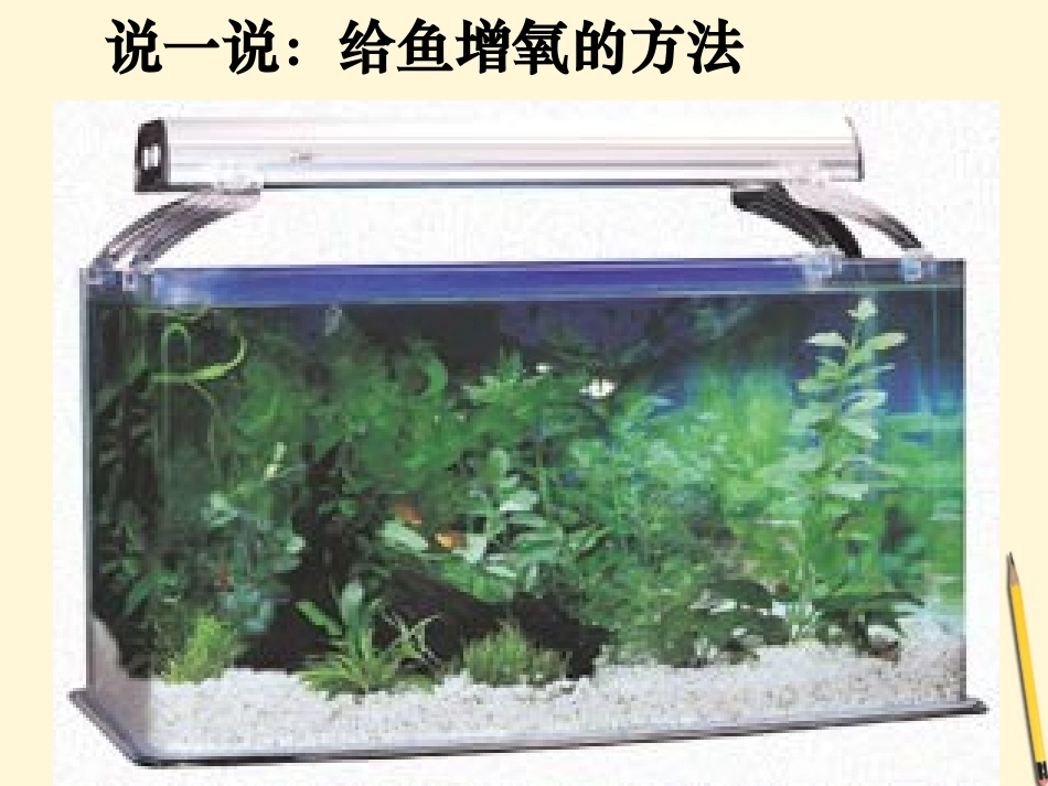 浙江省桐乡三中八年级科学下册《自然界中碳和氧的循环》课件2-浙教版_第3页